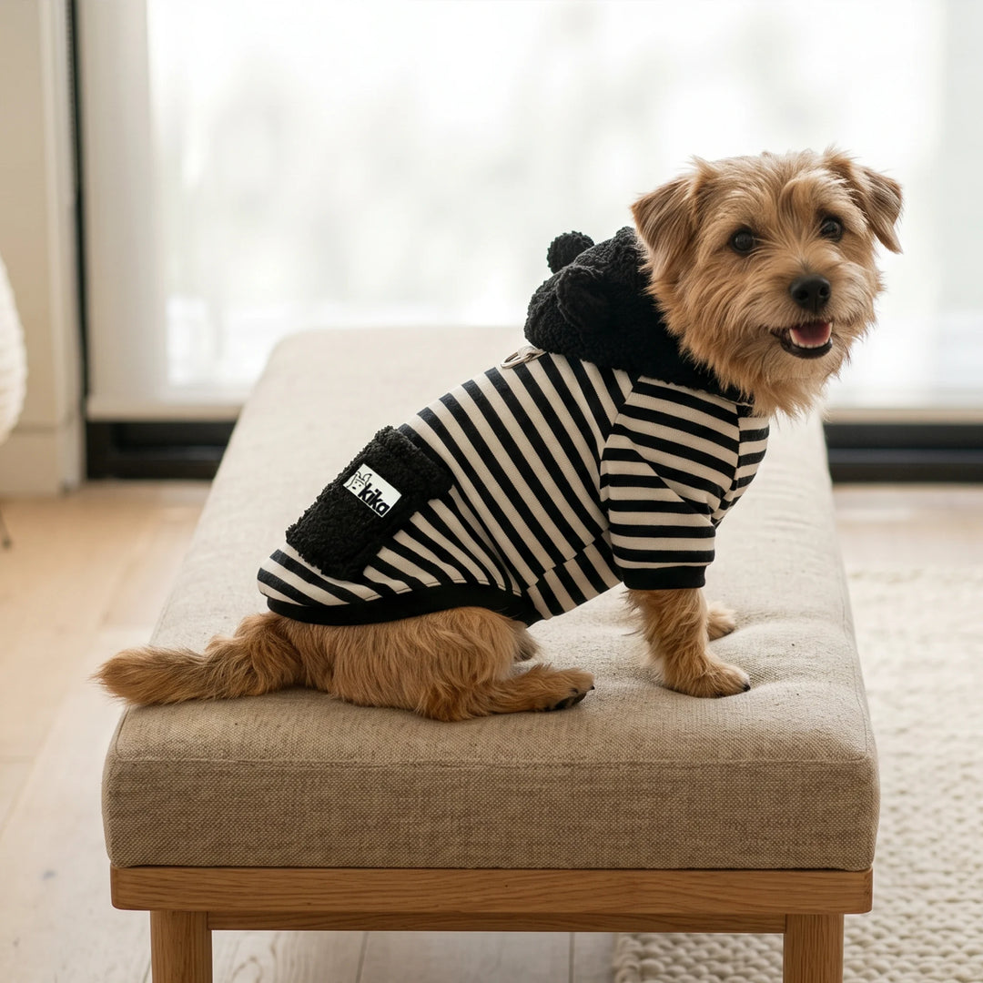 Sudadera Chimuelo