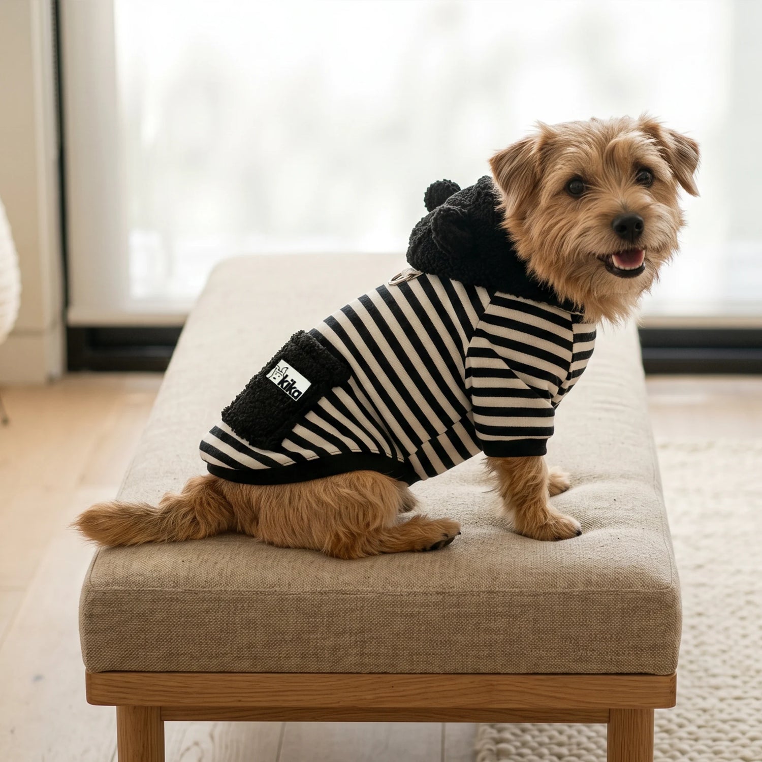 Sudadera Chimuelo